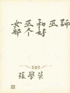 女巫和巫师宿舍哪个好