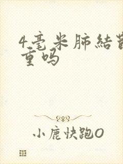 4毫米肺结节严重吗