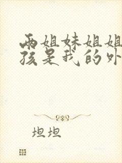 两姐妹姐姐的小孩是我的外甥还是侄子