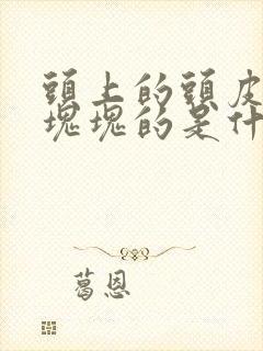 头上的头皮屑一块块的是什么原因封面