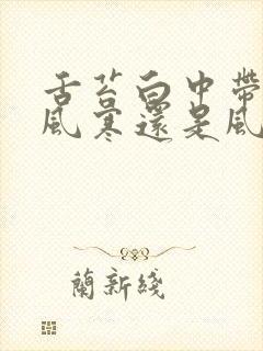 舌苔白中带黄是风寒还是风热