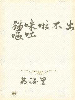 猫咪啦不出尿还呕吐封面