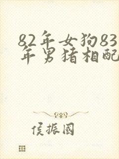 82年女狗83年男猪相配吗婚姻封面
