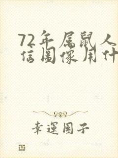 72年属鼠人微信图像用什么好