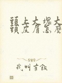 头上大块大块的头皮屑怎么治疗封面