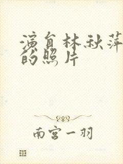 演员林秋萍现在的照片