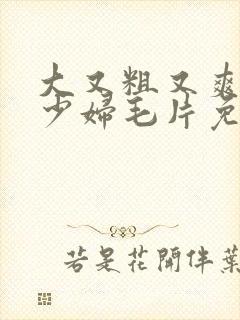 大又粗又爽又黄少妇毛片免费