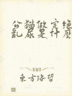 公猫做完绝育还乱尿是什么原因封面