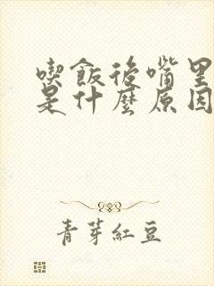 吃饭后嘴里发苦是什么原因封面