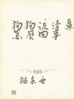 狗狗流清鼻涕是怎么回事