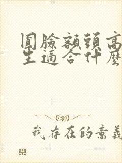 圆脸额头高的女生适合什么发型封面