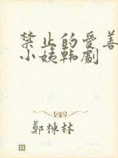 禁止的爱善良的小姨韩剧封面