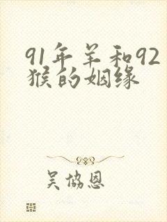 91年羊和92猴的姻缘封面