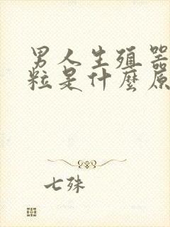 男人生殖器起肉粒是什么原因