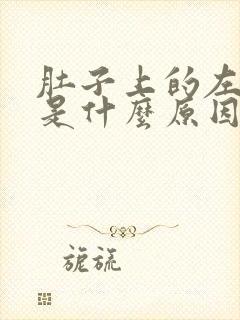 肚子上的左边疼是什么原因