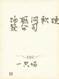 物联网软硬件开发公司