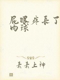 屁眼疼长了个小肉球