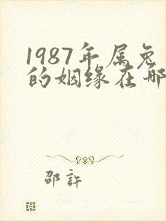 1987年属兔的姻缘在哪年封面