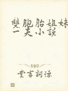 双胞胎姐妹共侍一夫小说封面