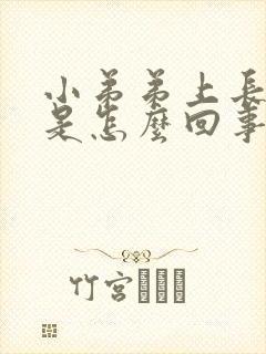 小弟弟上长疙瘩是怎么回事封面