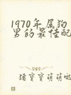 1970年属狗男的最佳配偶属相