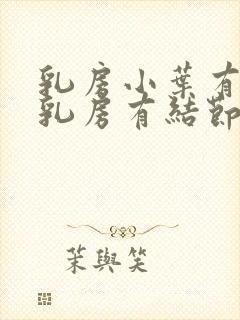 乳房小叶有增生乳房有结节