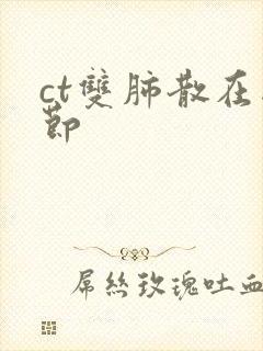 ct双肺散在结节