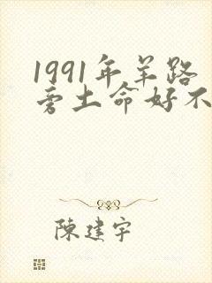 1991年羊路旁土命好不好