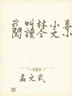 我叫林小喜免费阅读全文小说