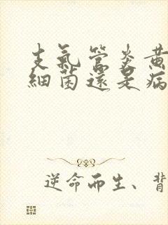 支气管炎黄痰是细菌还是病毒