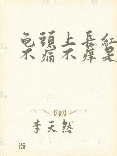 龟头上长红疙瘩不痛不痒是怎么回事封面