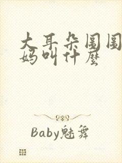 大耳朵图图的妈妈叫什么