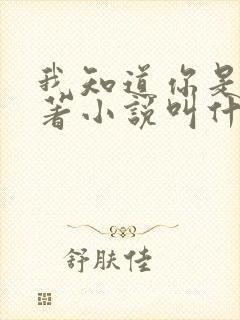 我知道你是谁原著小说叫什么名字