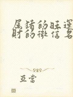 属猪的旺运又旺财的微信名