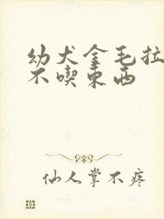 幼犬金毛拉肚子不吃东西