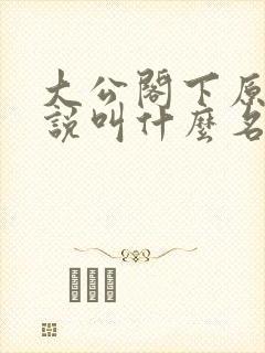 大公阁下原著小说叫什么名字封面