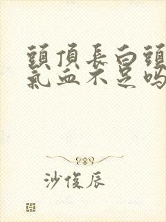 头顶长白头发是气血不足吗