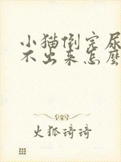 小猫倒完尿还排不出来怎么办