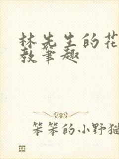 林先生的花式管教笔趣