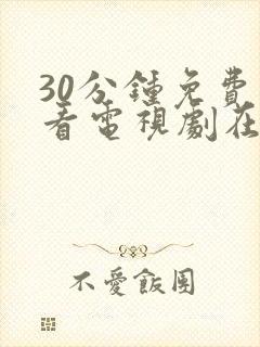 30分钟免费观看电视剧在线观看视频