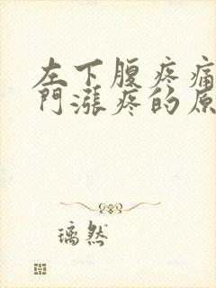 左下腹疼痛伴肛门涨疼的原因