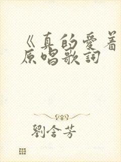 《真的爱着你》原唱歌词封面