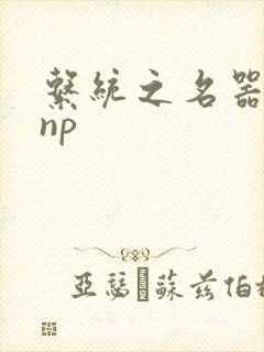 系统之名器攻略np