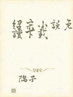 绍宋小说免费阅读下载