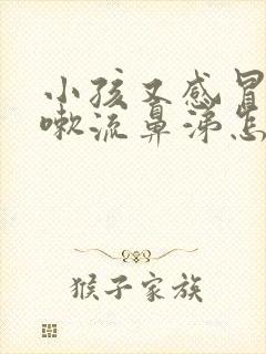 小孩又感冒又咳嗽流鼻涕怎么办