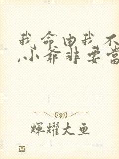 我命由我不由天,小爷非要当神仙封面