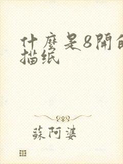 什么是8开的素描纸封面