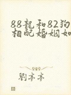 88龙和82狗相配婚姻如何