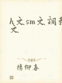 h文sm文调教文
