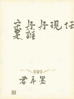 宋丹丹现任老公是谁